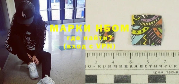 mdpv Бородино