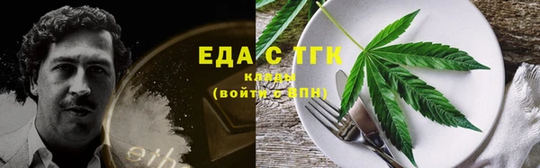 mdpv Бородино