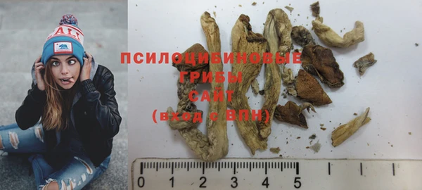 mdpv Бородино