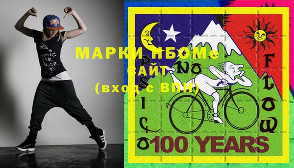 mdpv Бородино