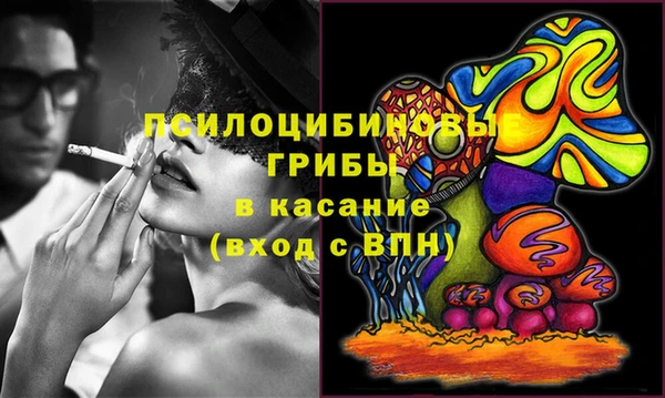 2c-b Бронницы