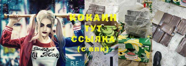 mdpv Бородино