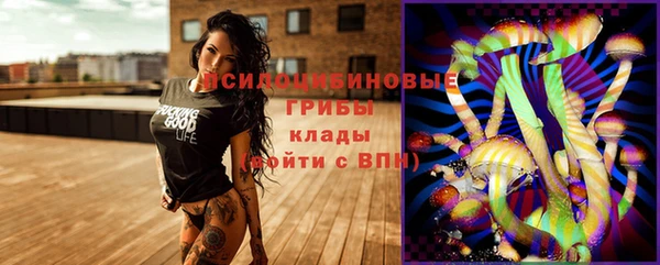 mdpv Бородино